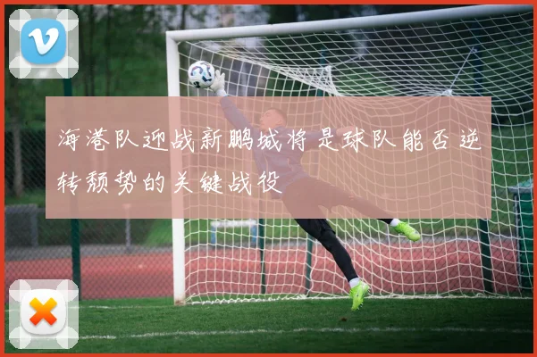 海港队迎战新鹏城将是球队能否逆转颓势的关键战役