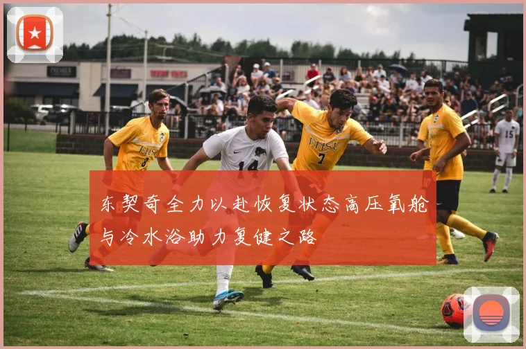 东契奇全力以赴恢复状态高压氧舱与冷水浴助力复健之路